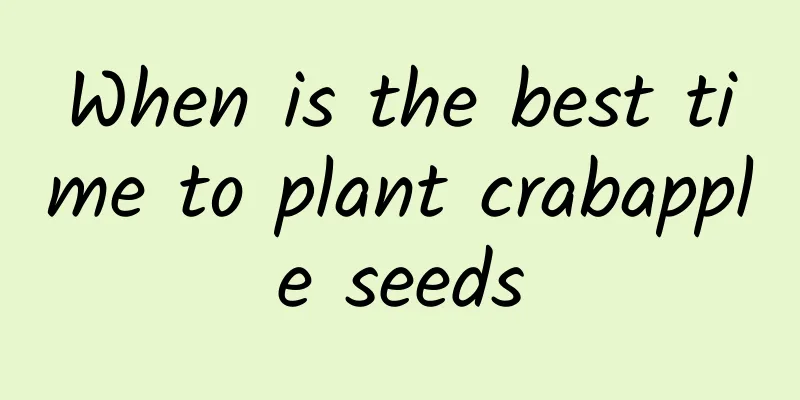 When is the best time to plant crabapple seeds