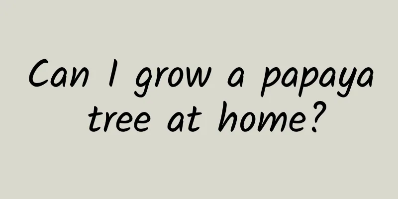 Can I grow a papaya tree at home?