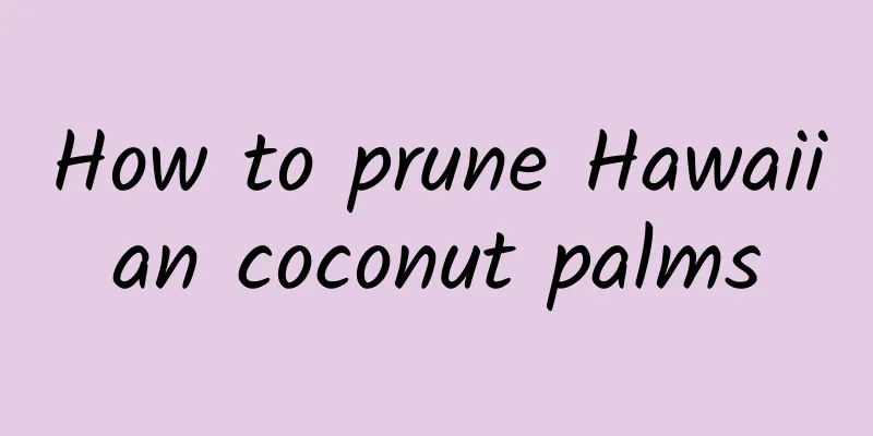 How to prune Hawaiian coconut palms