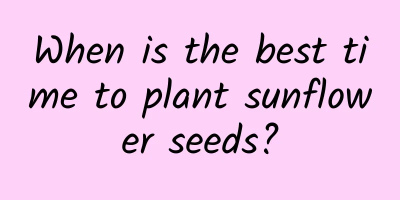 When is the best time to plant sunflower seeds?