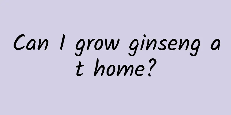 Can I grow ginseng at home?