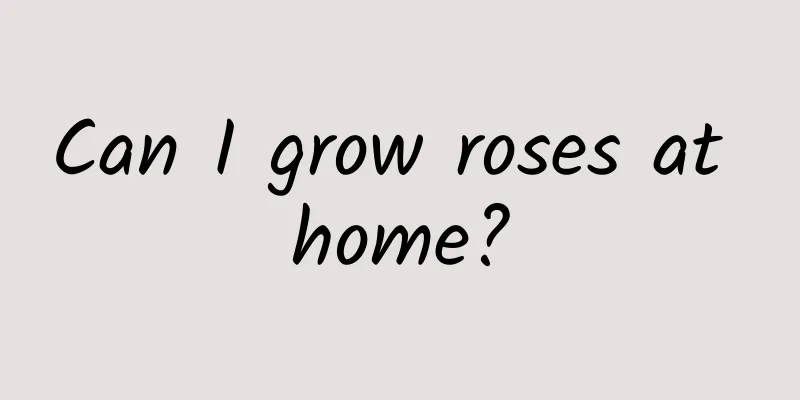 Can I grow roses at home?