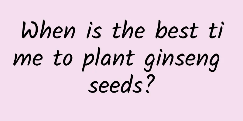 When is the best time to plant ginseng seeds?