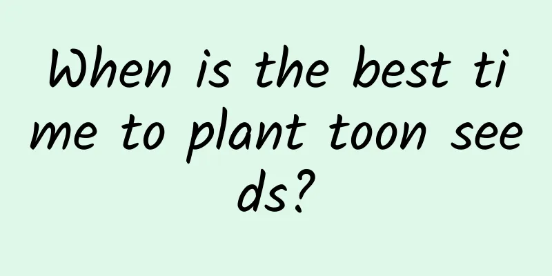 When is the best time to plant toon seeds?