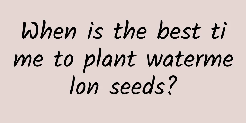 When is the best time to plant watermelon seeds?