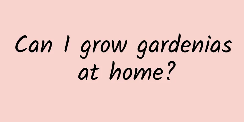 Can I grow gardenias at home?