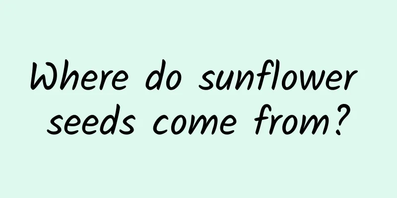 Where do sunflower seeds come from?