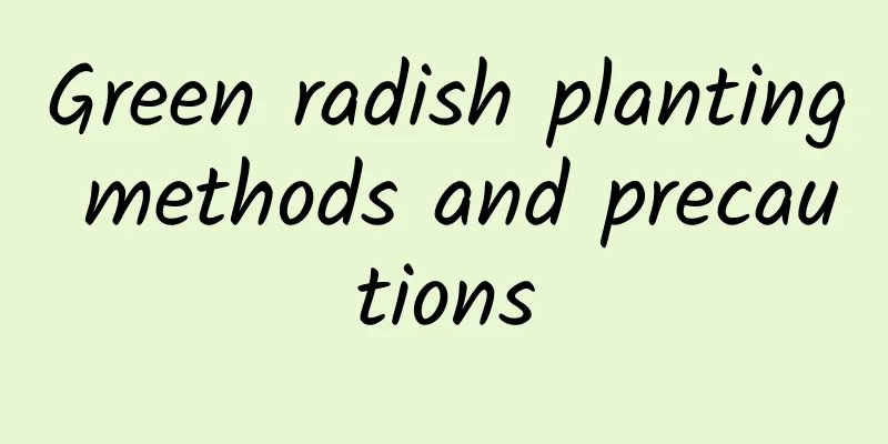 Green radish planting methods and precautions