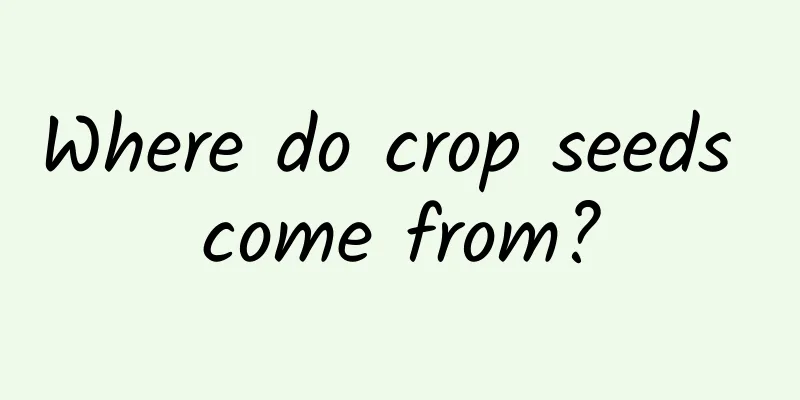 Where do crop seeds come from?