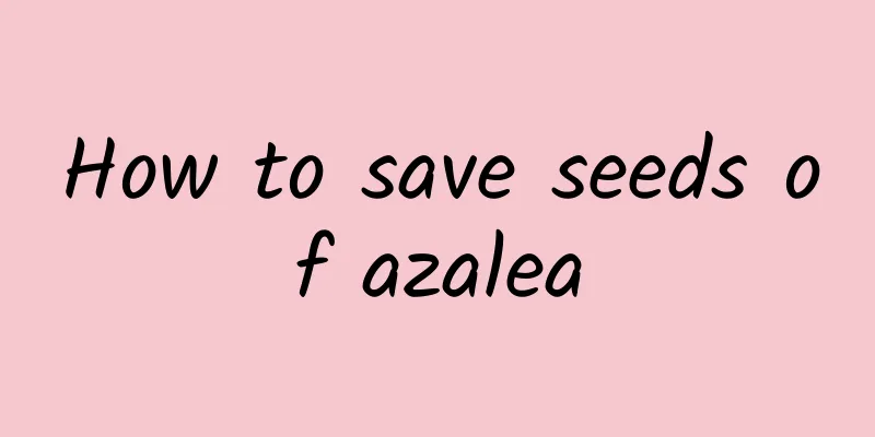 How to save seeds of azalea