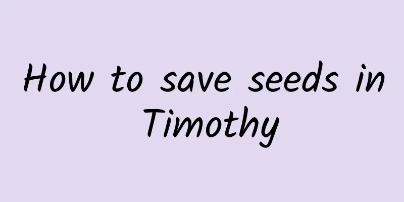 How to save seeds in Timothy