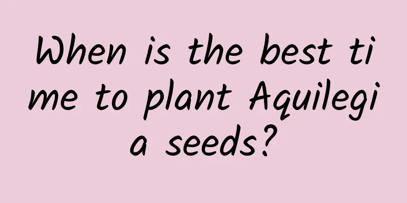 When is the best time to plant Aquilegia seeds?