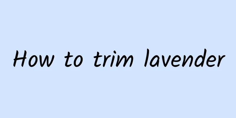 How to trim lavender