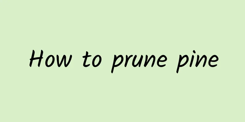How to prune pine