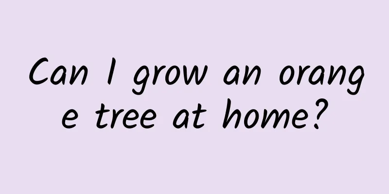 Can I grow an orange tree at home?