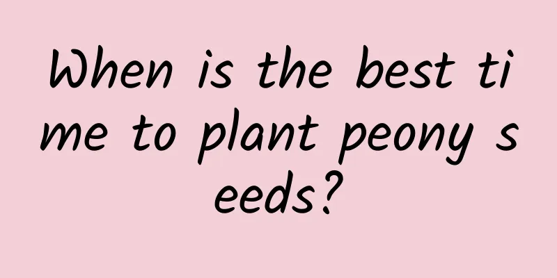 When is the best time to plant peony seeds?