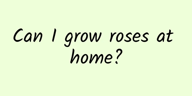 Can I grow roses at home?