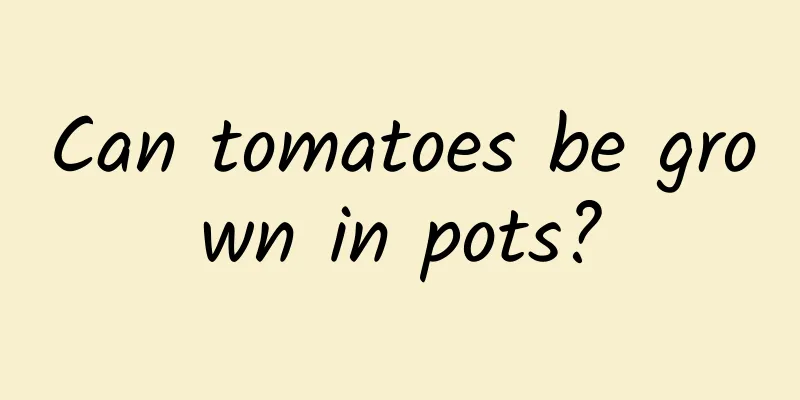 Can tomatoes be grown in pots?