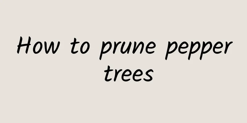 How to prune pepper trees