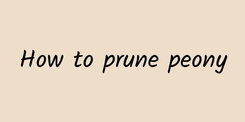 How to prune peony