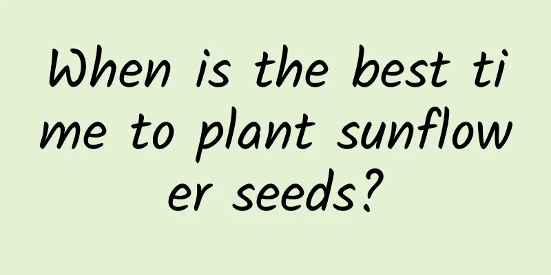 When is the best time to plant sunflower seeds?