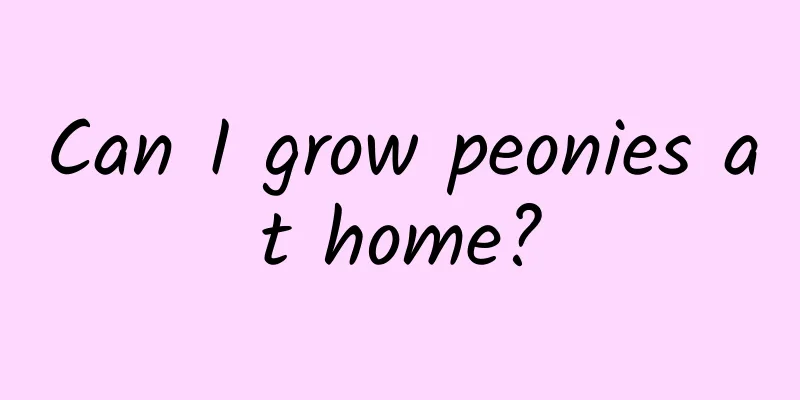Can I grow peonies at home?