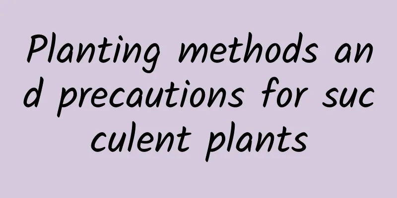 Planting methods and precautions for succulent plants