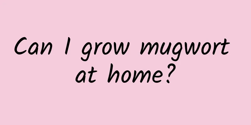 Can I grow mugwort at home?