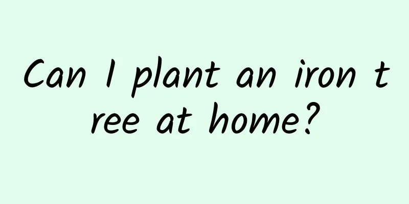 Can I plant an iron tree at home?