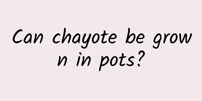 Can chayote be grown in pots?