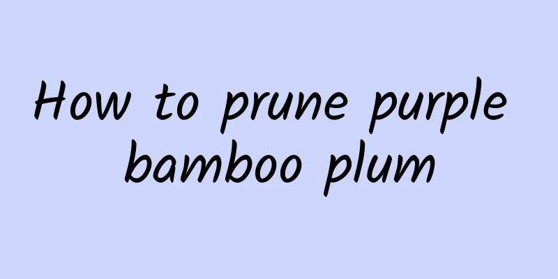 How to prune purple bamboo plum