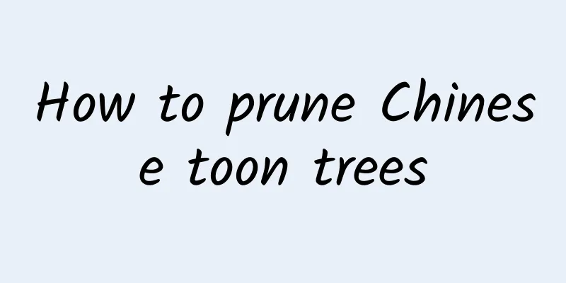 How to prune Chinese toon trees