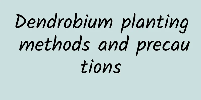 Dendrobium planting methods and precautions