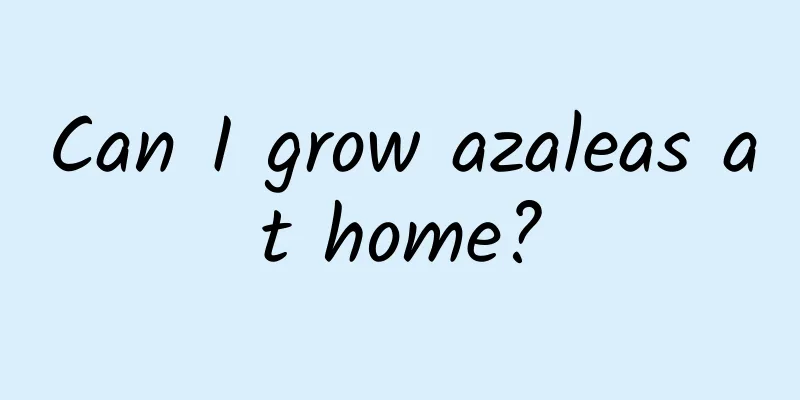 Can I grow azaleas at home?