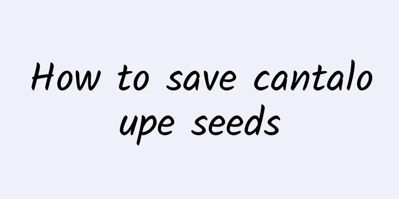 How to save cantaloupe seeds