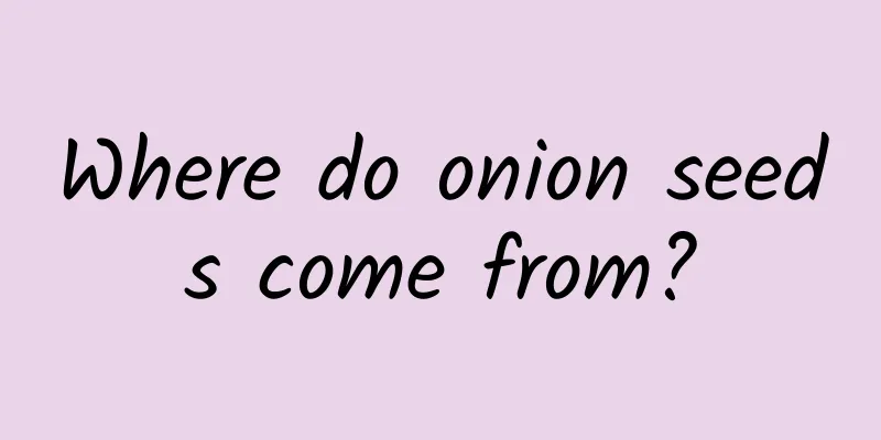 Where do onion seeds come from?
