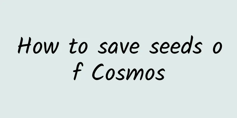 How to save seeds of Cosmos