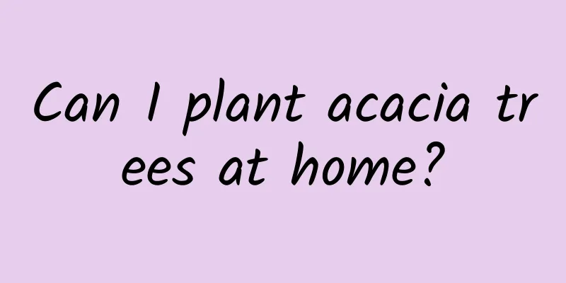 Can I plant acacia trees at home?