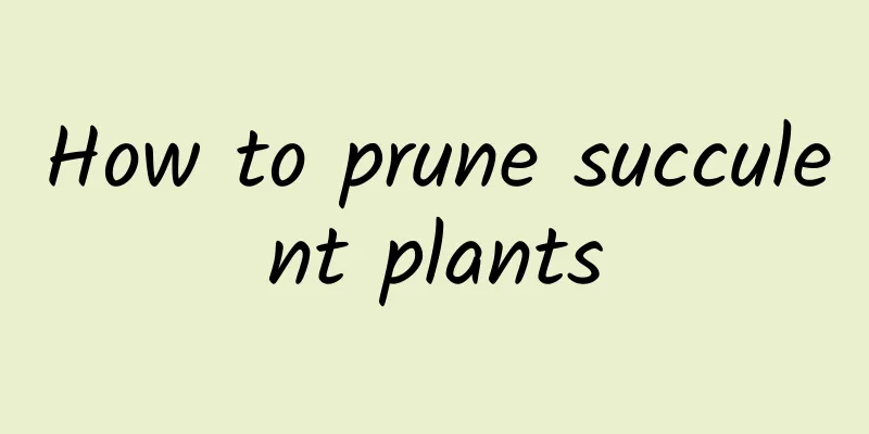 How to prune succulent plants
