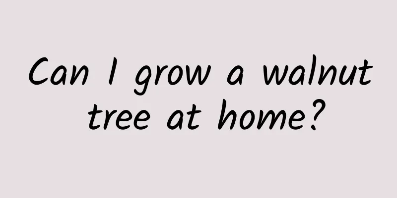 Can I grow a walnut tree at home?