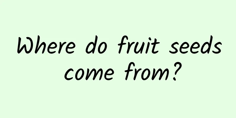 Where do fruit seeds come from?
