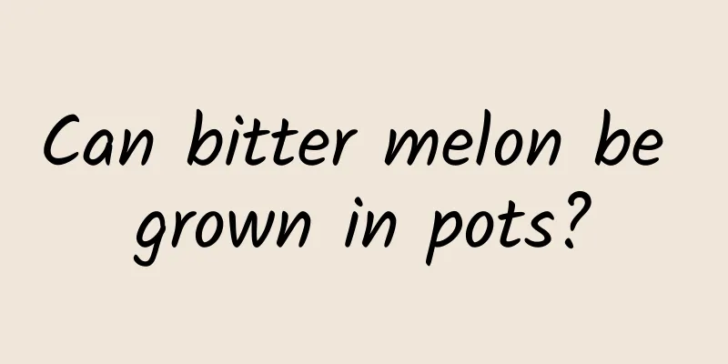 Can bitter melon be grown in pots?