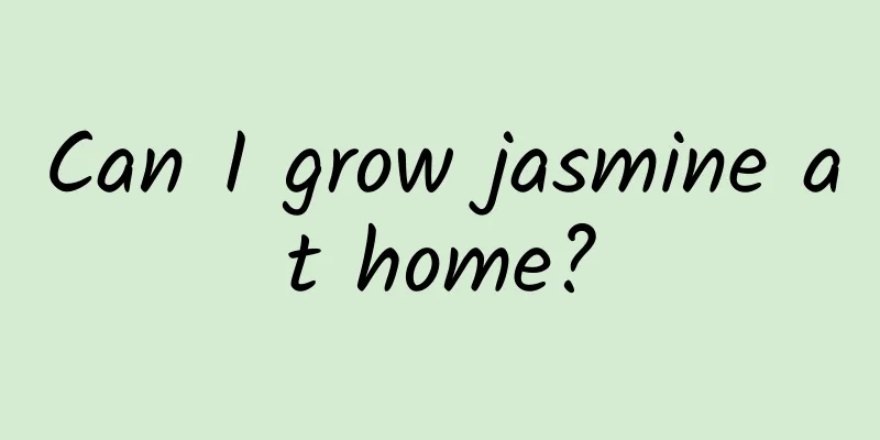 Can I grow jasmine at home?