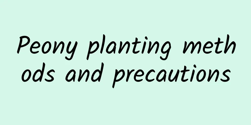 Peony planting methods and precautions
