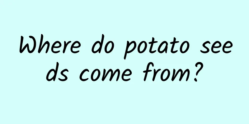 Where do potato seeds come from?