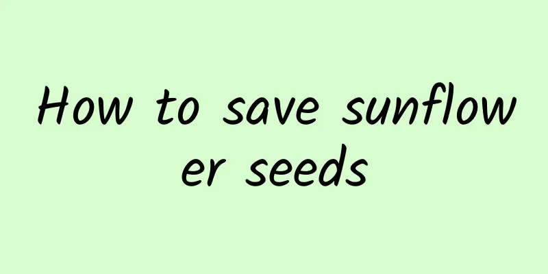 How to save sunflower seeds