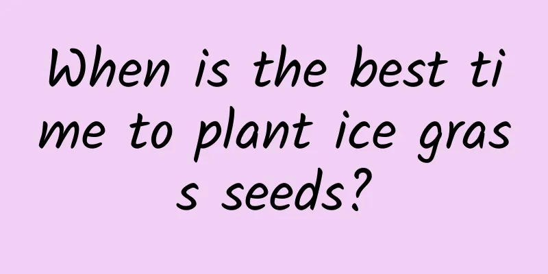 When is the best time to plant ice grass seeds?