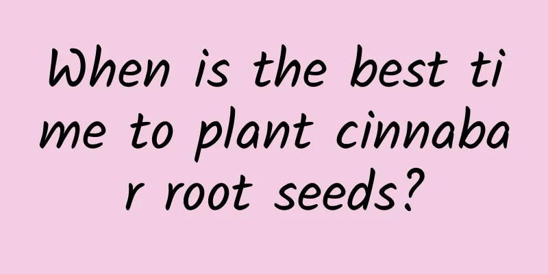 When is the best time to plant cinnabar root seeds?