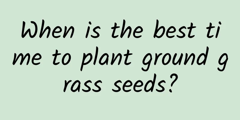 When is the best time to plant ground grass seeds?