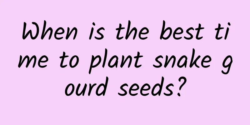 When is the best time to plant snake gourd seeds?
